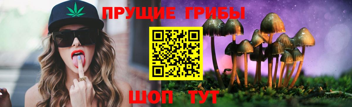 Псилоцибиновые грибы Cubensis Березники